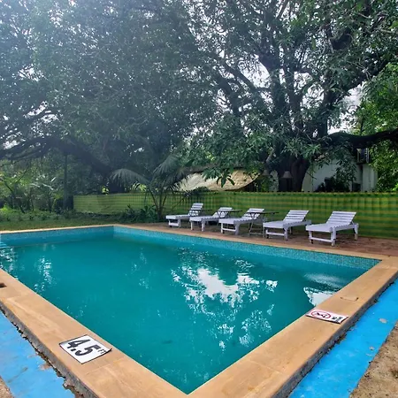 Luxury 6Bhk Villa With Private Pool Near Calangue & Baga